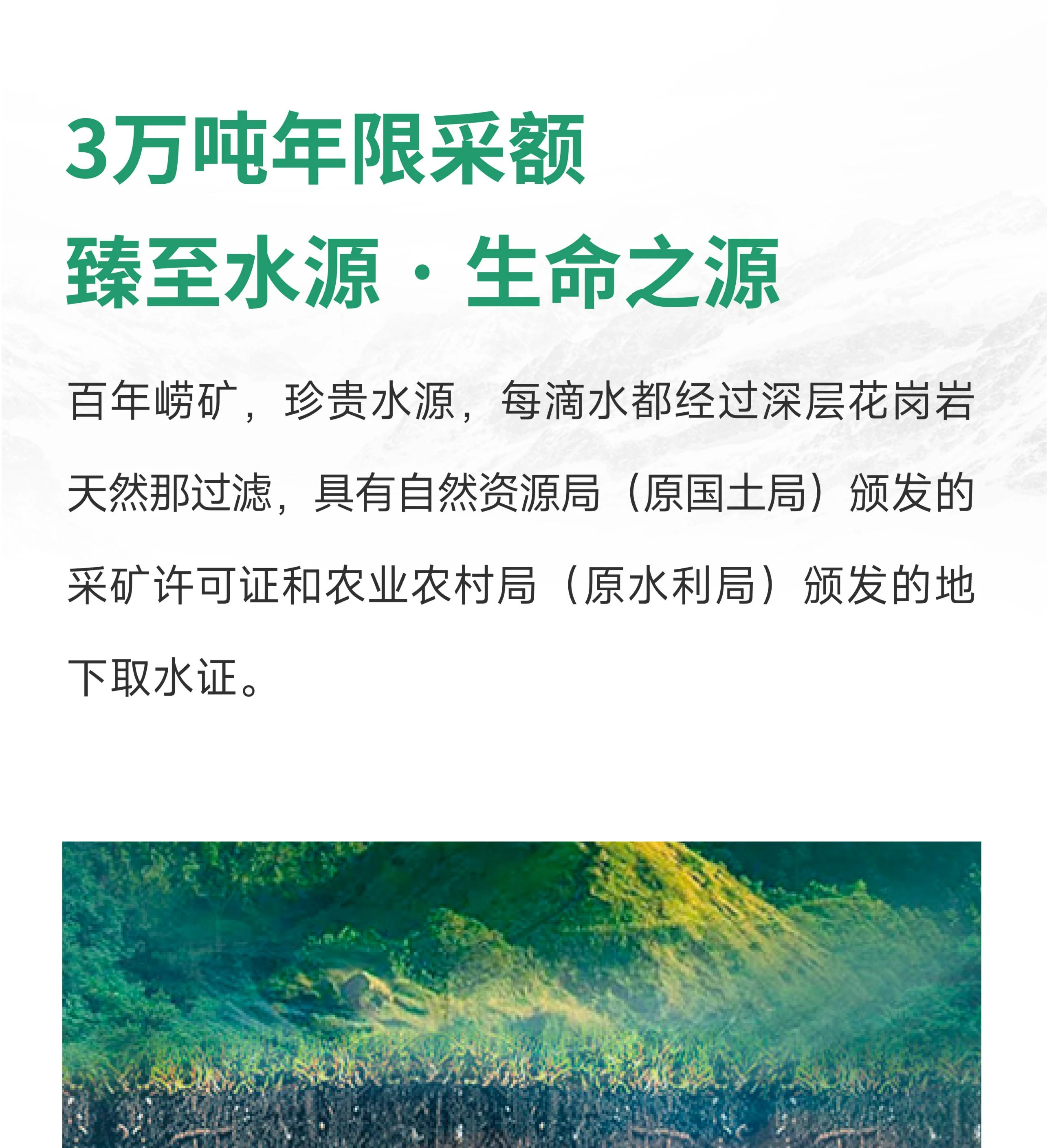 (2).webp